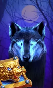 Book Of The Night Wolf